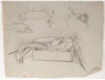 Etude sardines boite différentes vues école arts décoratifs XXème siècle